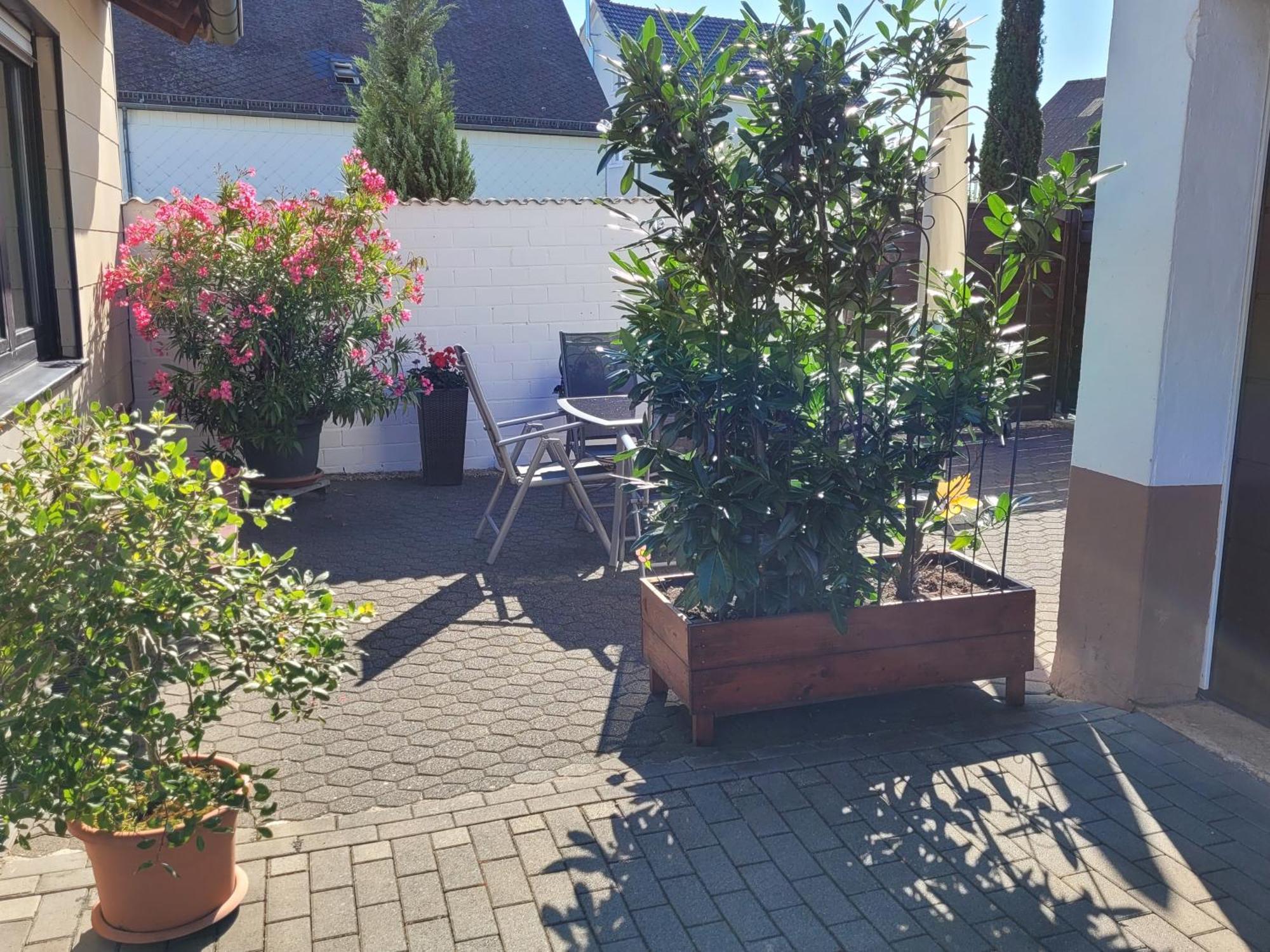 Eifelferienhaus Thome Lissendorf Exterior foto